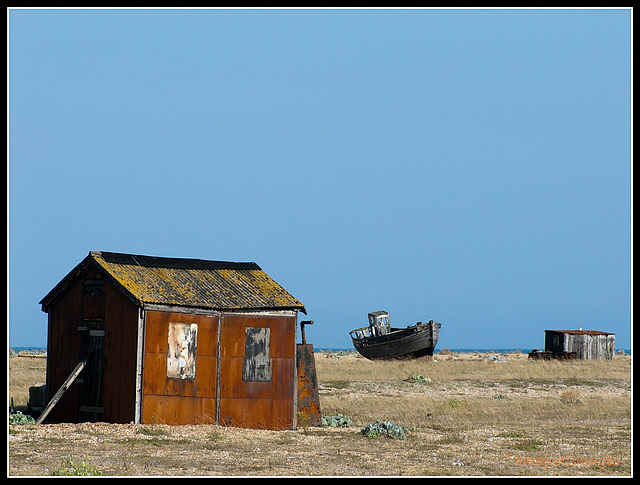 dungeness