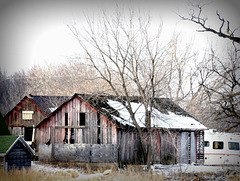 Barn