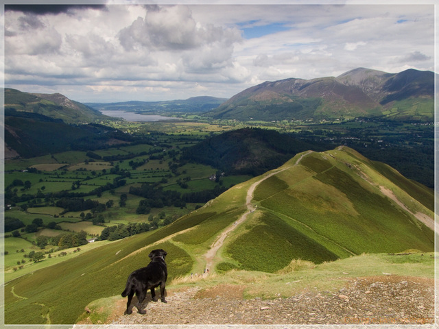 blacky on catbells