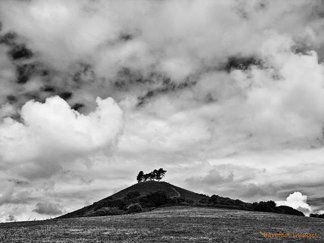 colmer's hill (2)