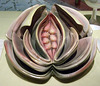 Detail of the Plate for Virginia Woolf in the Dinner Party by Judy Chicago in the Brooklyn Museum, August 2007