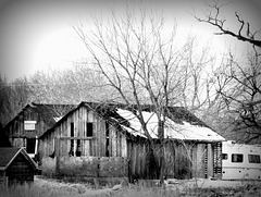 Sheds/Barn