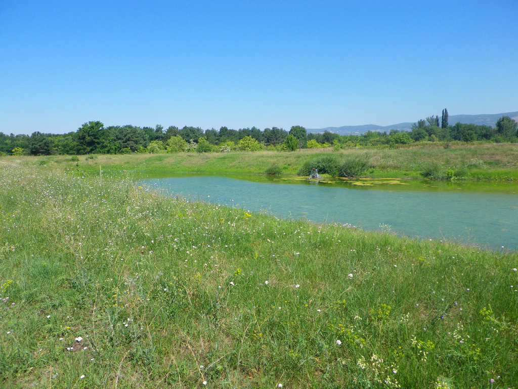 Mediana : pièce d'eau.