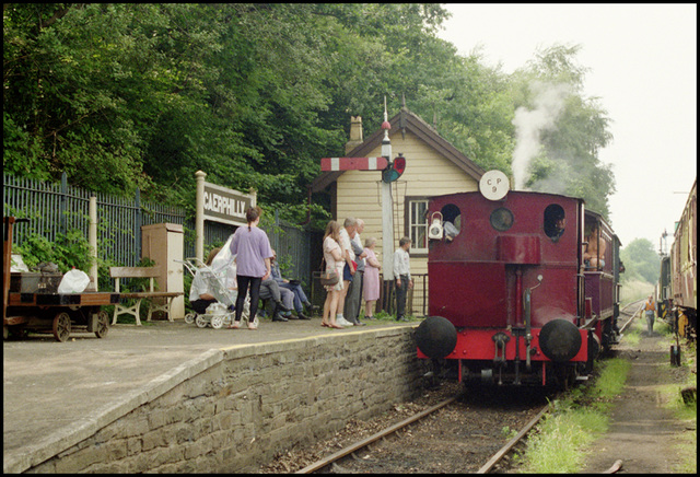 Caerphilly Railway #7