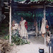 Wampanoag Homestead at Plimoth Plantation, 2004