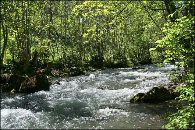 fast flowing