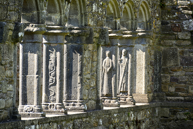 Jerpoint Abbey 2013 – Arches