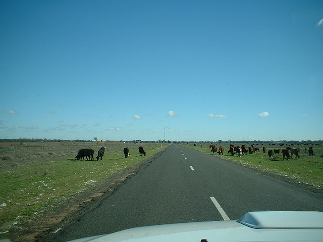 4082 Narrabri - Walgett 0607 082