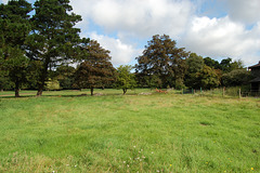 9. Park Farm, Henham, Suffolk. Former stack yard looking NE