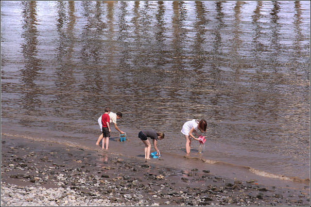 Fun on the beach