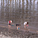 Fun on the beach