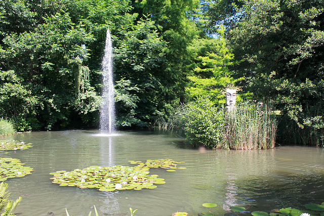 Teich auf der Insel Mainau