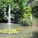 Teich auf der Insel Mainau