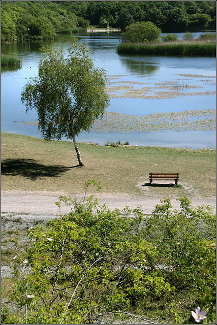 Park bench