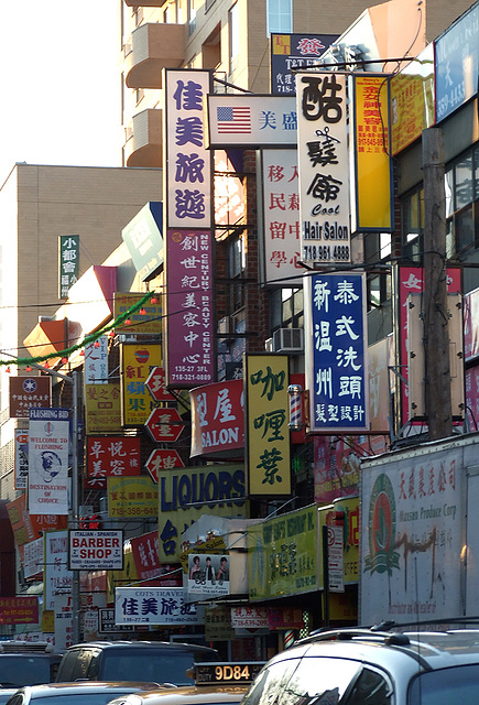 Signs in Flushing, January 2011