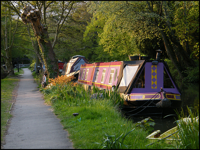 spring evening on the canal path