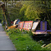 spring evening on the canal path