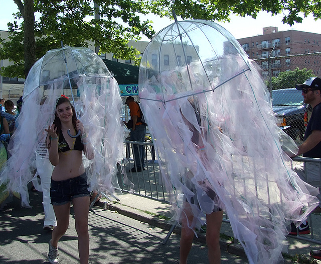 Jellyfish at the Coney Island Mermaid Parade, June 2010