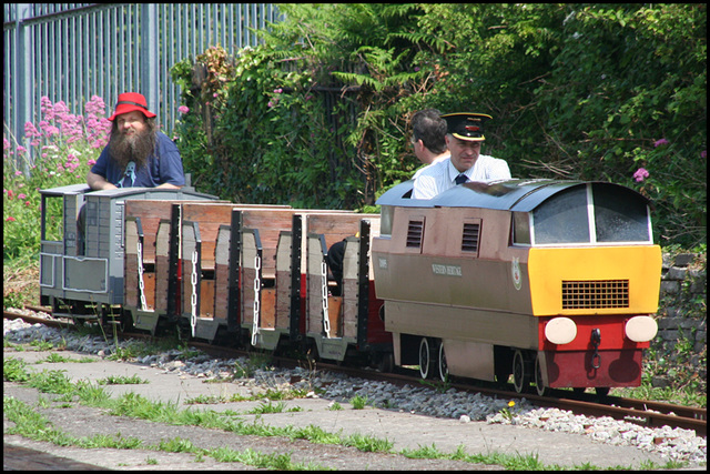 'Weird Beard Express'