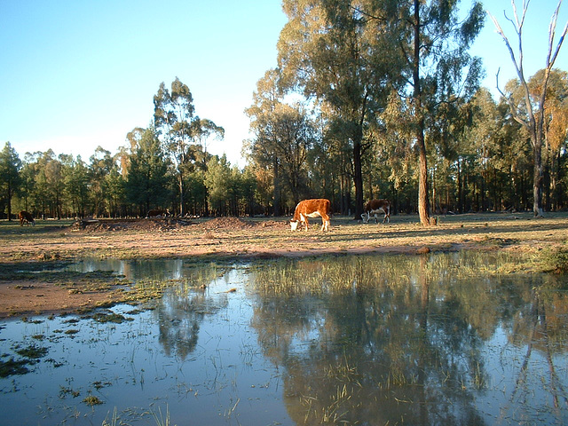 4129 Moree - Narrabri 0607 129