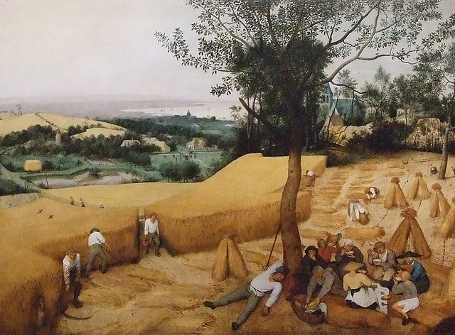 Detail of The Harvesters by Bruegel in the Metropolitan Museum of Art, March 2011
