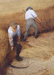 Detail of The Harvesters by Bruegel in the Metropolitan Museum of Art, March 2011