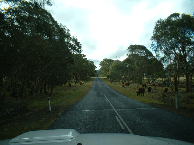 4137 Armidale - Grafton 0607