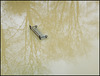 reflecting on a park bench