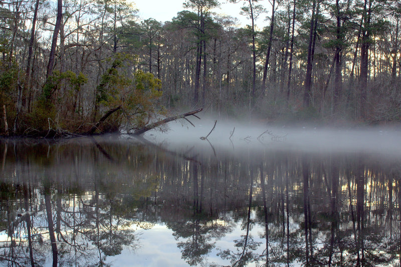 Creek Mist 4