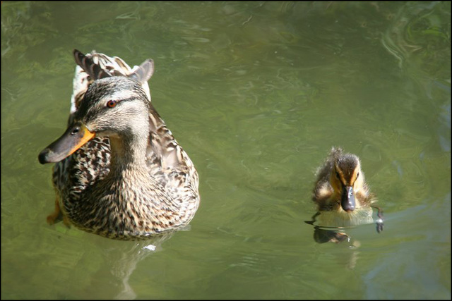 mother and daughter