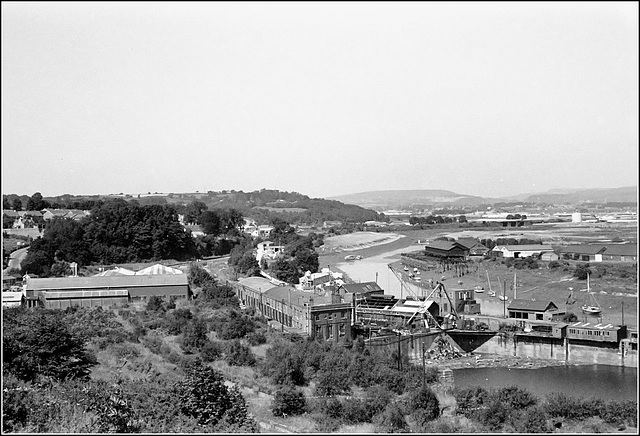 River Ely view