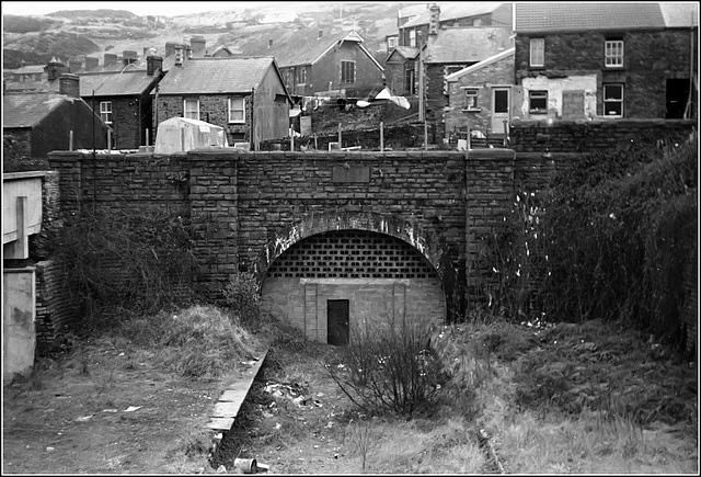 Graig Tunnel (north)