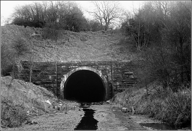 Wenvoe Tunnel (north)