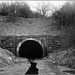 Wenvoe Tunnel (north)