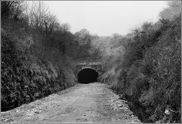 Wenvoe Tunnel (south)