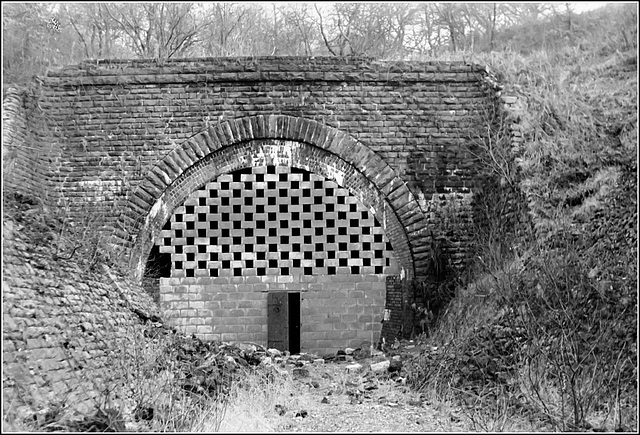 Abernant Tunnel (west end)