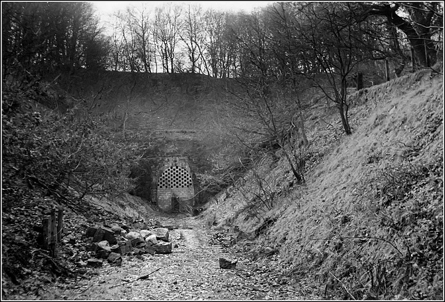 Abernant Tunnel (east end)