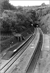 Cefn On Halt & Tunnel