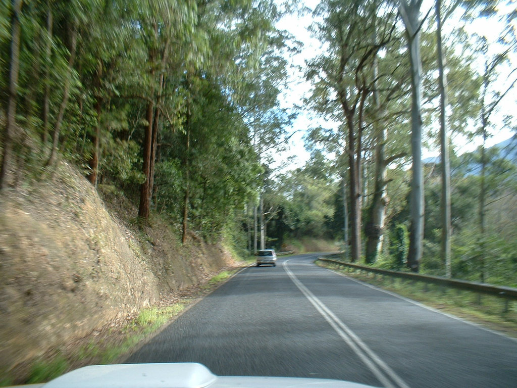 4181 Coffs Harbour - Armidale 0607 181