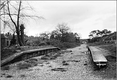 Alberta Place halt