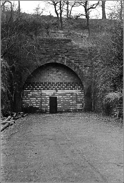 Graig Tunnel (south)