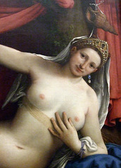 Detail of Venus and Cupid by Lorenzo Lotto in the Metropolitan Museum of Art, Sept. 2007