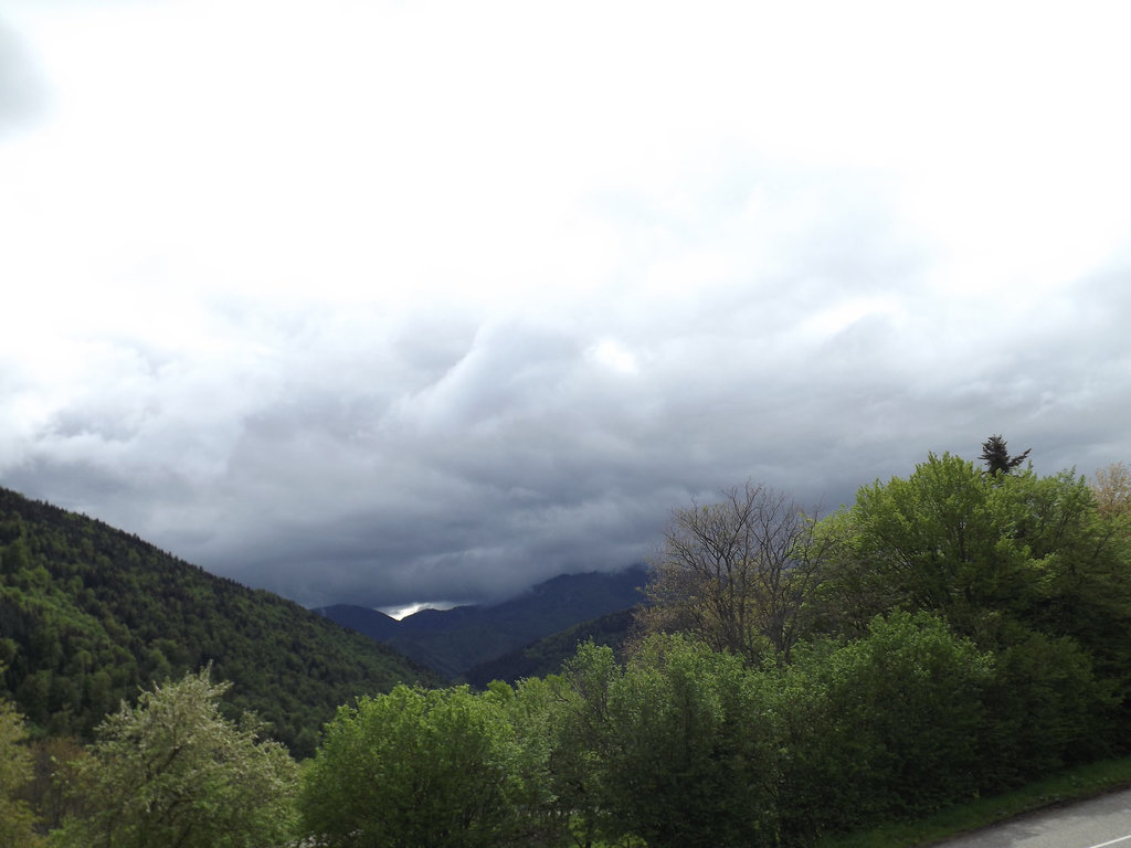 DSCF1404