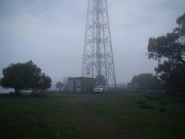 4202 Tamworth area 0607 202