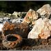 tired rocks