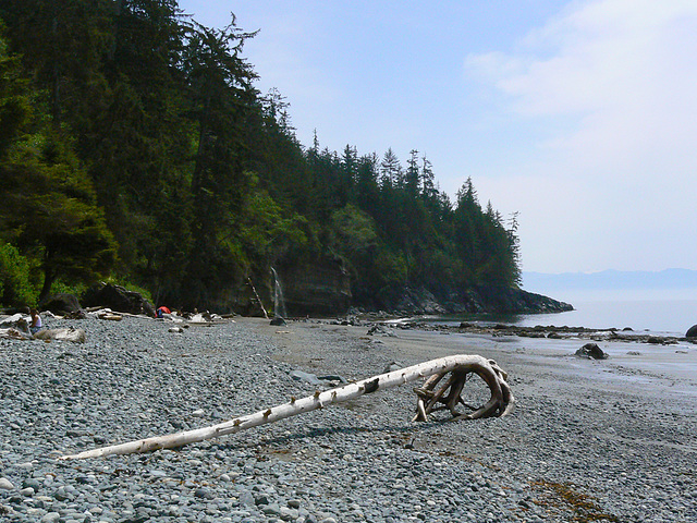 claw on Mystic Beach