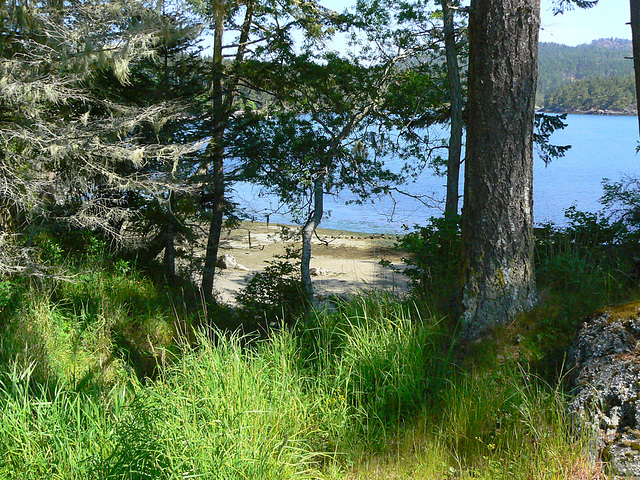 East Sooke beach