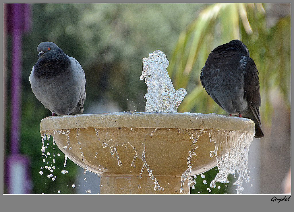 Un petit bain ...