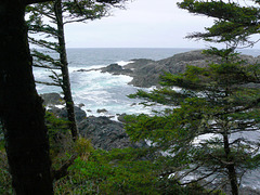 Ucluelet shore