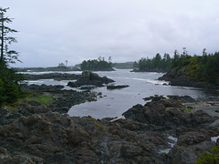 Ucluelet shore 2